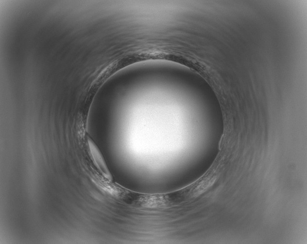 X0000059100384200510071151
