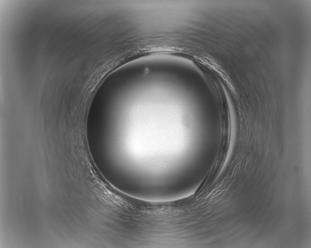 X0000059100385200510071150