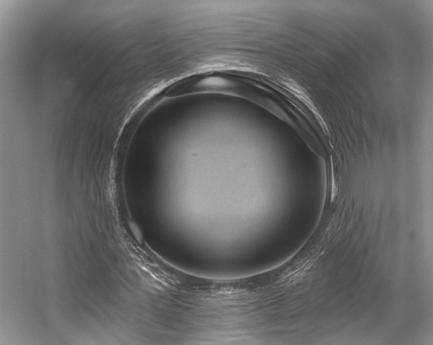 X0000059100387200510071150