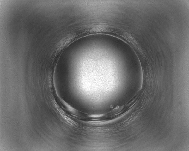X0000059100393200510071150