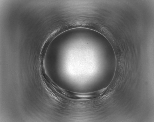 X0000059100395200510071150