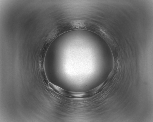 X0000059100417200510071149