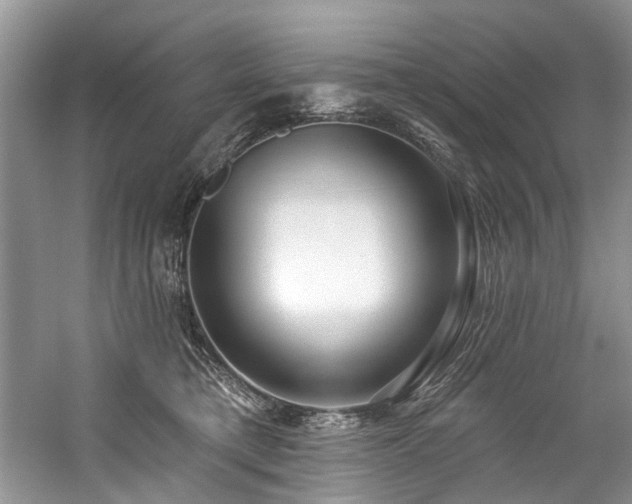 X0000059100421200510071149