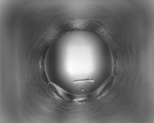 X0000059100424200510071149