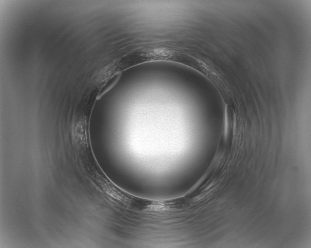 X0000059100425200510071149