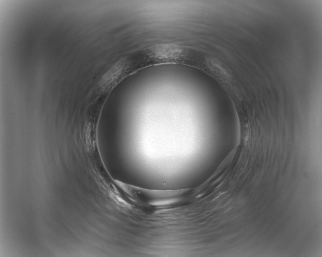 X0000059100428200510071149