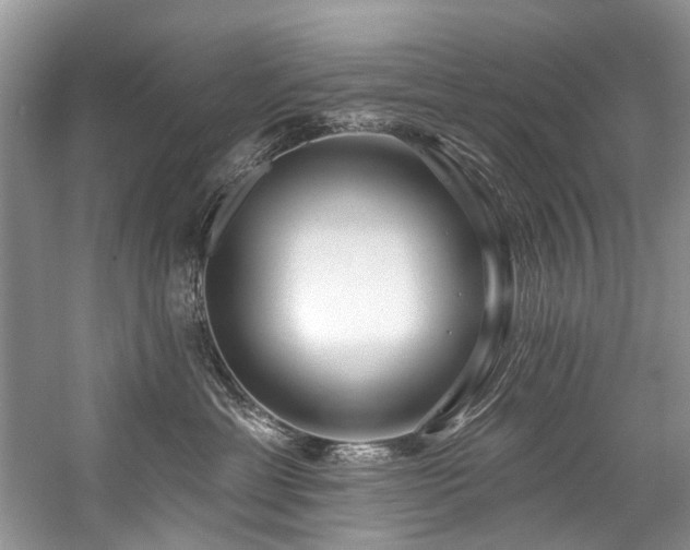 X0000059100429200510071149