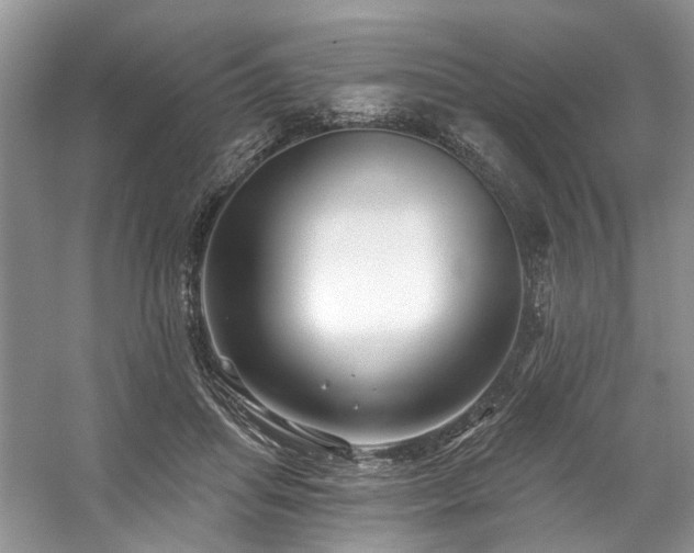 X0000059100455200510071148