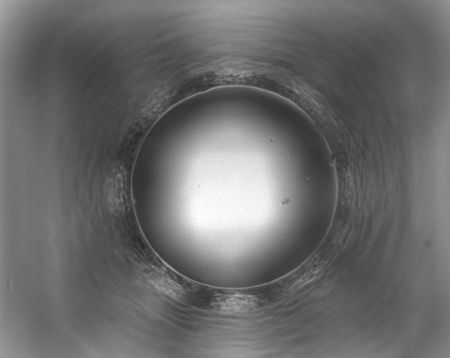 X0000059100463200510071149