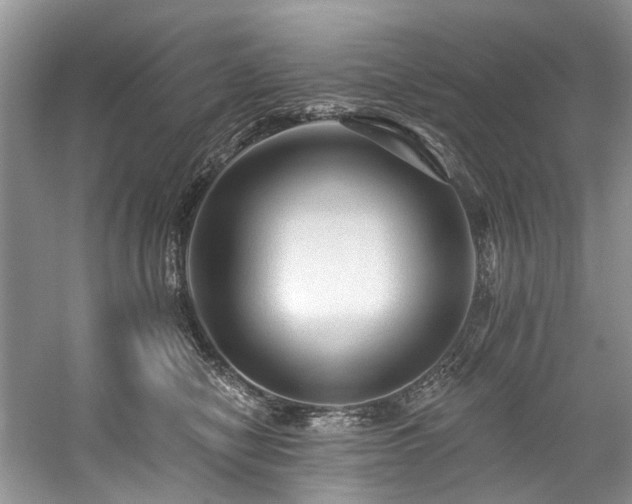 X0000059100470200510071149