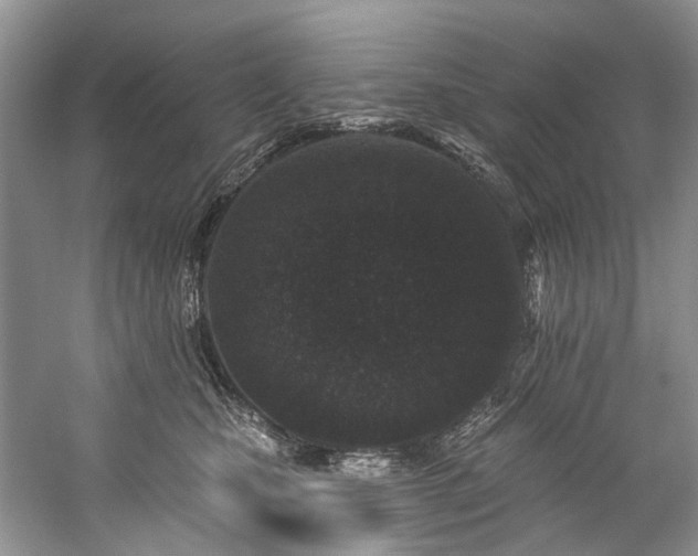 X0000059100471200510071149