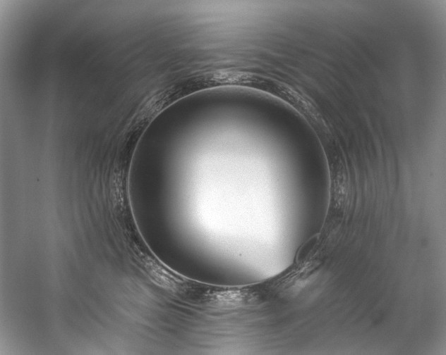 X0000059100473200510071149