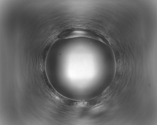 X0000059100474200510071149