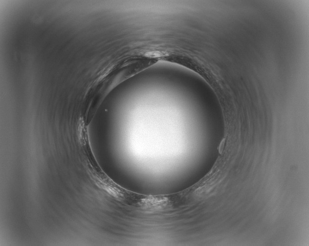 X0000059100480200510071149