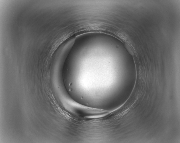 X0000059100481200510071148