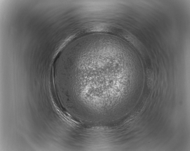 X0000059100482200510071148