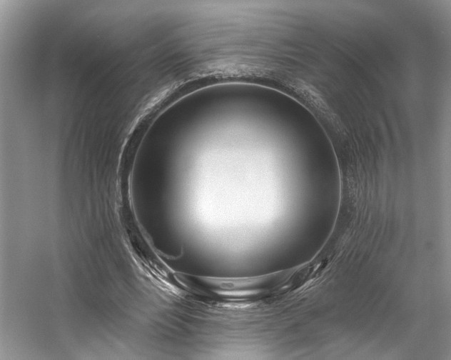 X0000059100488200510071148