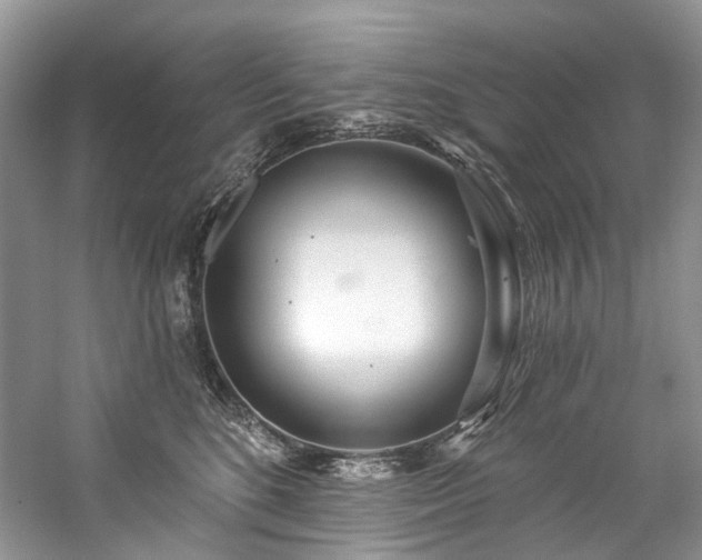 X0000059100520200510071147