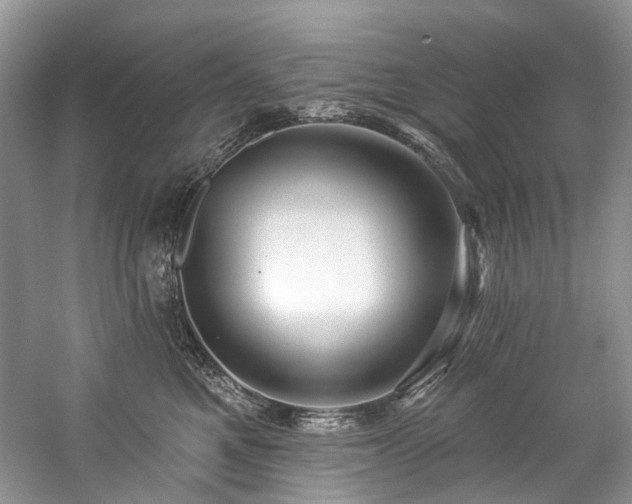 X0000059100521200510071147