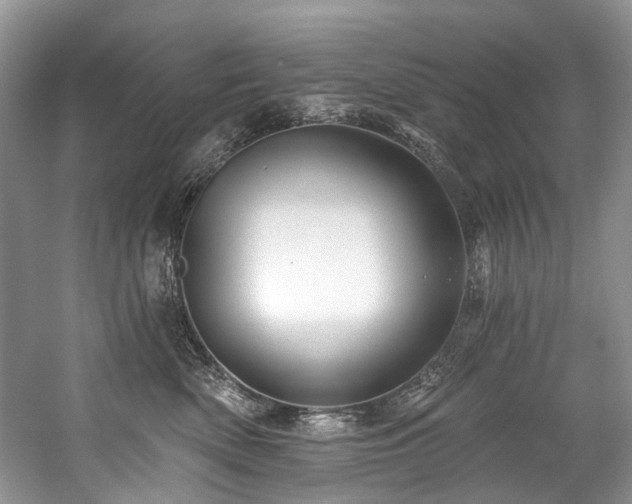 X0000059100522200510071147