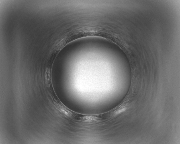 X0000059100528200510071147