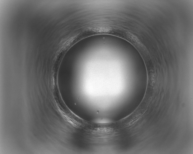 X0000059100541200510071146