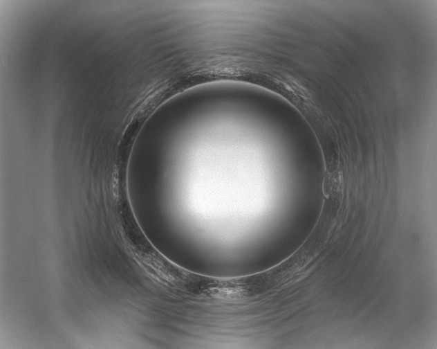 X0000059100552200510071147