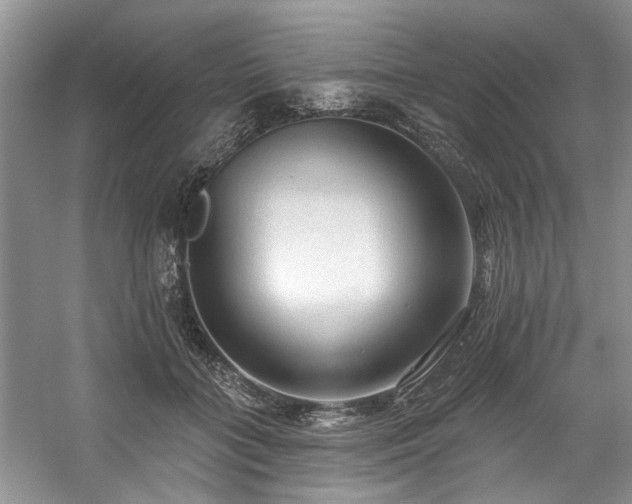 X0000059100555200510071147