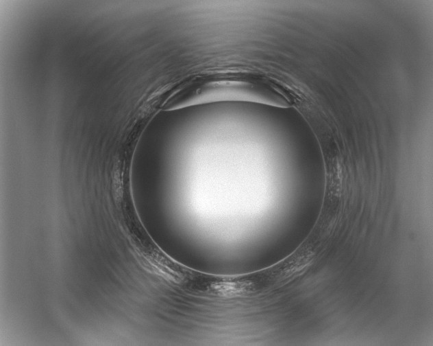 X0000059100558200510071147