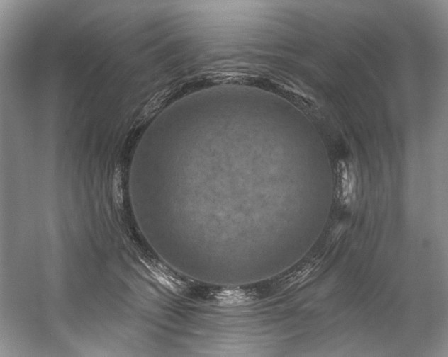 X0000059100562200510071147