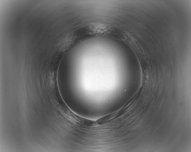 X0000059100563200510071147