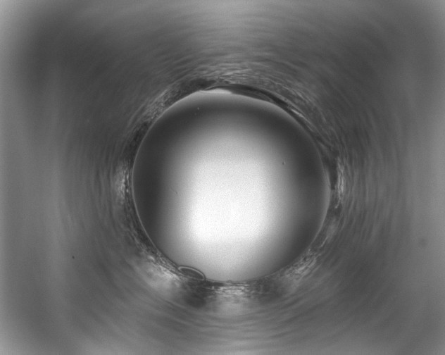 X0000059100574200510071147