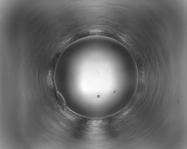 X0000059100575200510071147