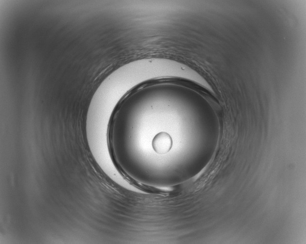X0000059100576200510071147