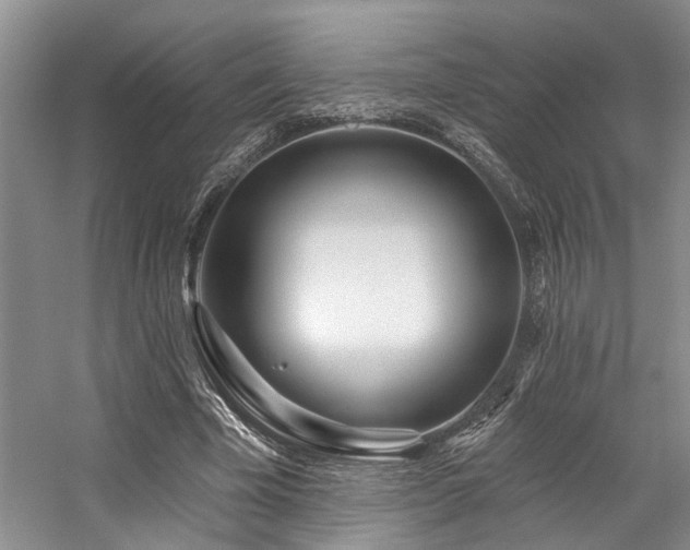 X0000059100585200510071146