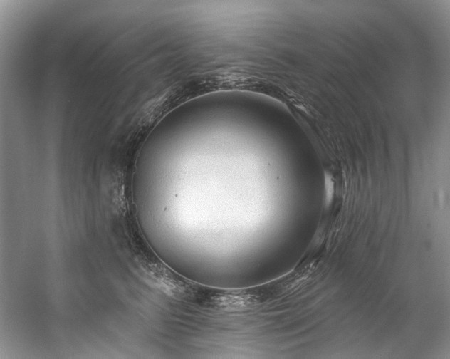 X0000059100615200510071146