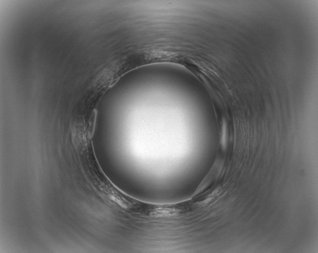 X0000059100617200510071146