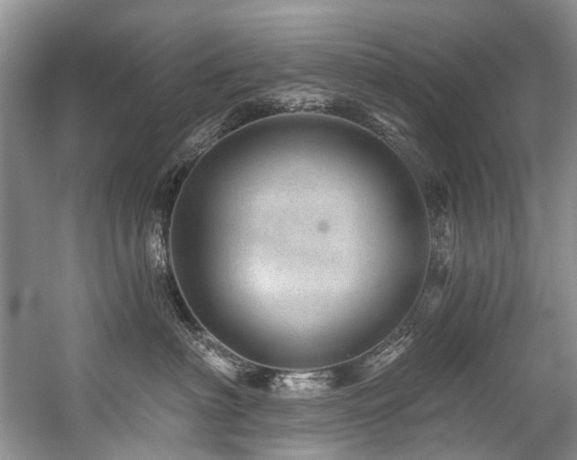 X0000059100622200510071145