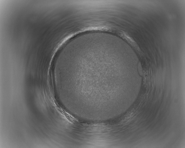 X0000059100628200510071145