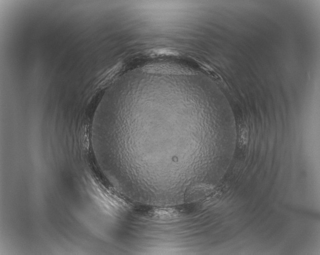 X0000059100666200510071145