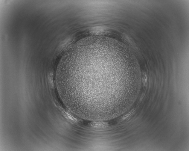 X0000059100670200510071145