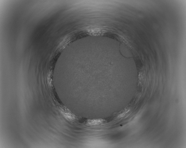 X0000059100671200510071145