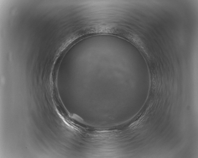 X0000059100674200510071145