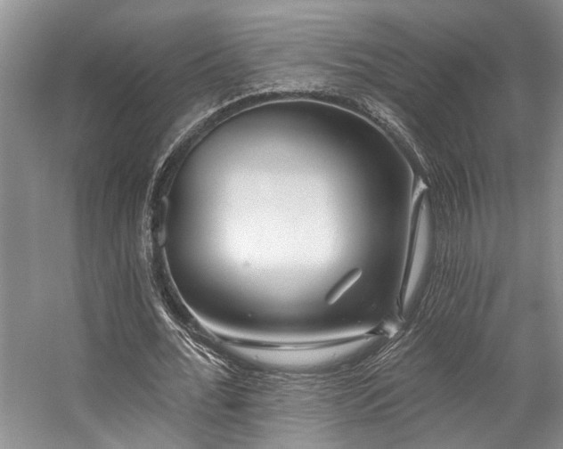 X0000059100676200510071145