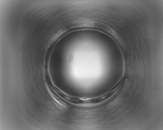 X0000059100677200510071145