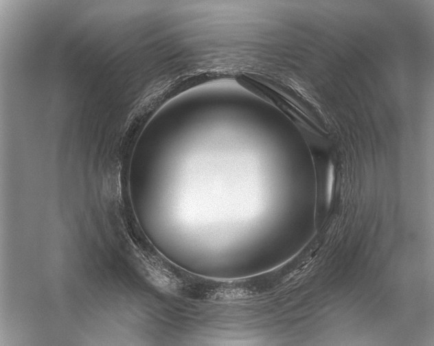 X0000059100685200510071144