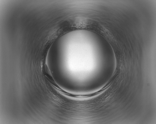 X0000059100697200510071144