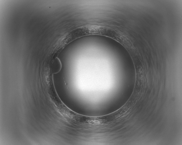 X0000059100698200510071144