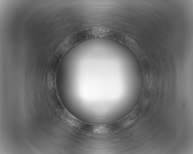 X0000059100705200510071144