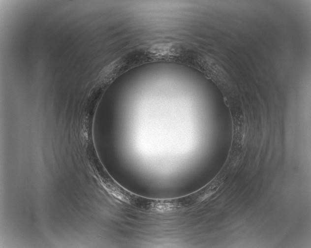 X0000059100710200510071144
